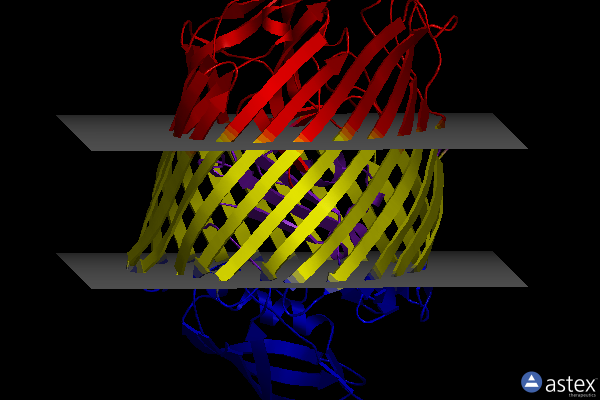 Membrane view of 2gsk