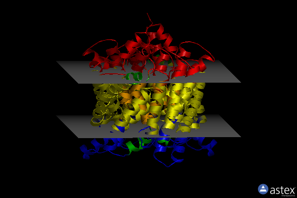 Membrane view of 2h2p
