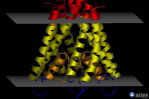 Membrane view of 2h8p