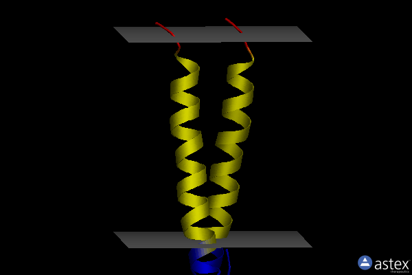 Membrane view of 2hac