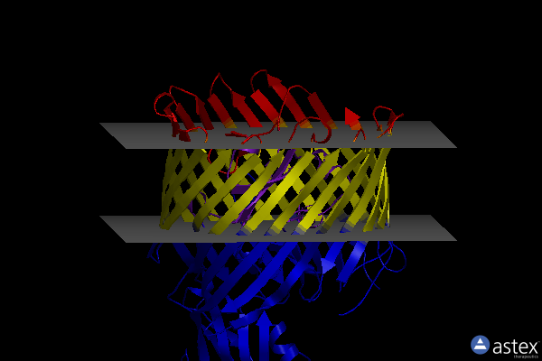 Membrane view of 2hdi