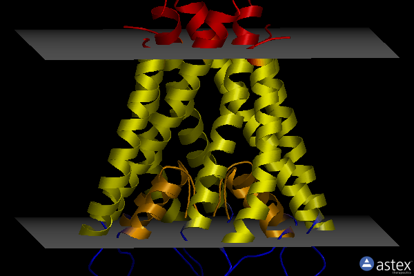 Membrane view of 2hg5