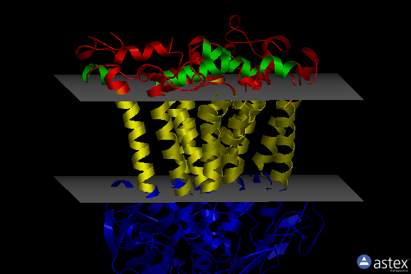 Membrane view of 2hhk
