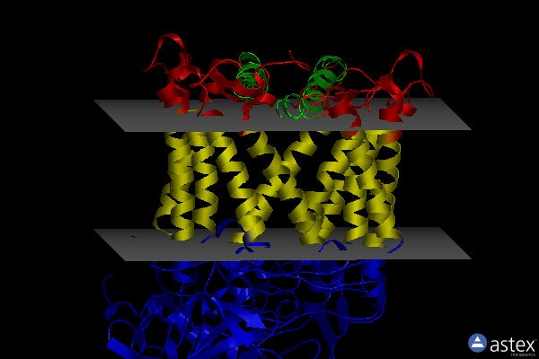 Membrane view of 2hit