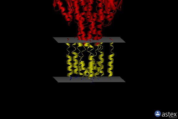 Membrane view of 2hn2
