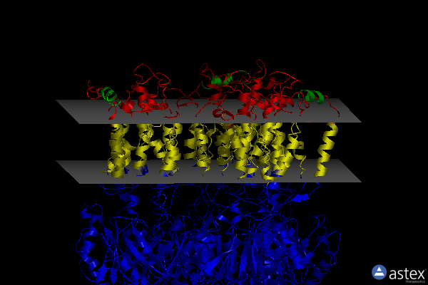 Membrane view of 2hqc