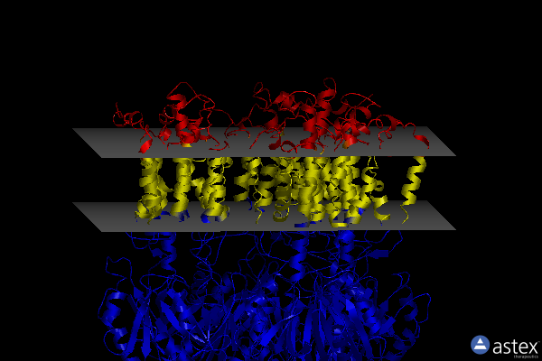 Membrane view of 2hqd