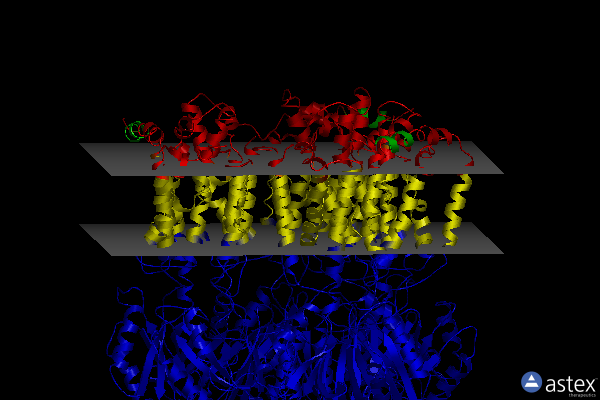 Membrane view of 2hqf