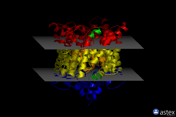 Membrane view of 2ht4