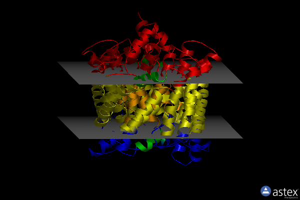 Membrane view of 2htk