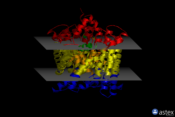 Membrane view of 2htl