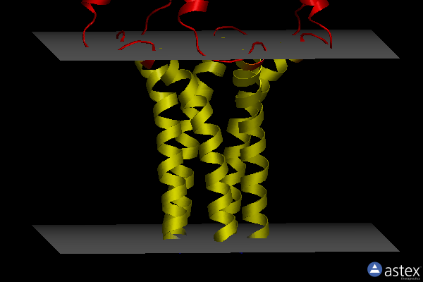 Membrane view of 2hyn