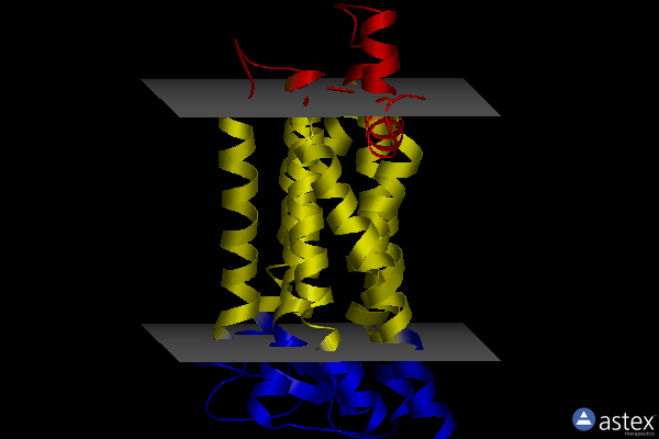 Membrane view of 2i35