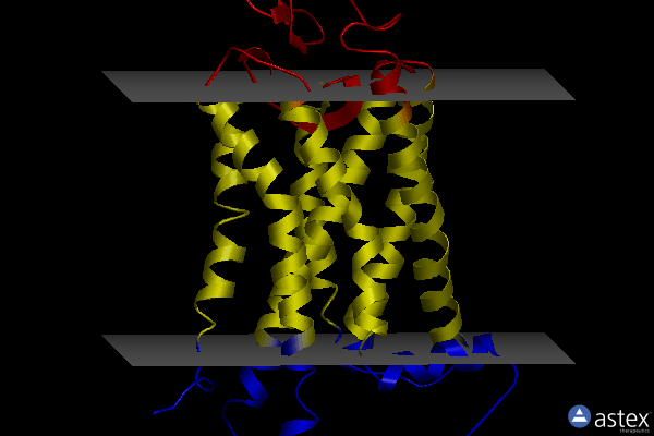 Membrane view of 2i37