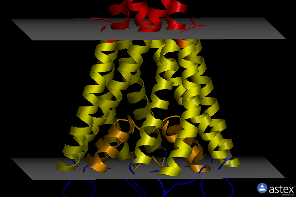 Membrane view of 2ih1