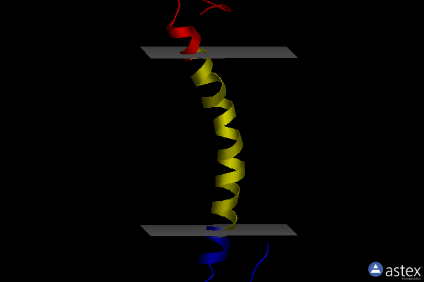 Membrane view of 2ita