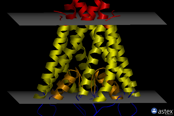 Membrane view of 2itd