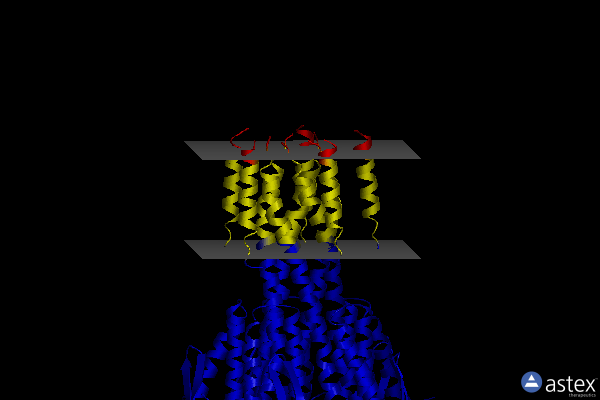 Membrane view of 2iub