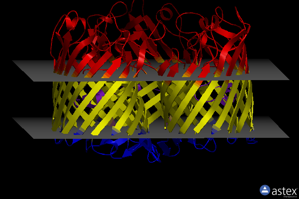 Membrane view of 2j1n