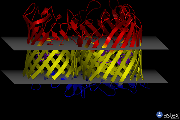 Membrane view of 2j4u