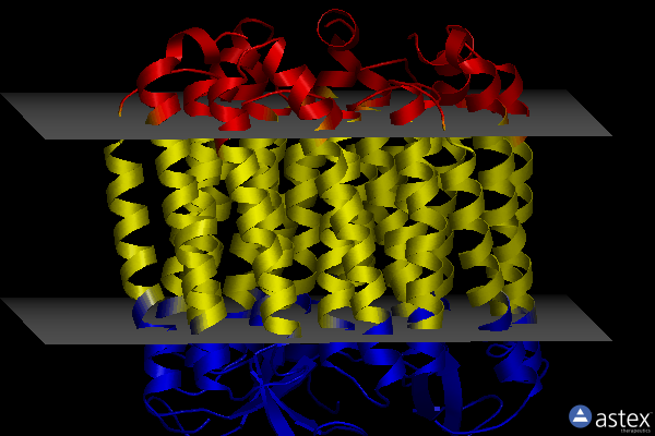 Membrane view of 2jag