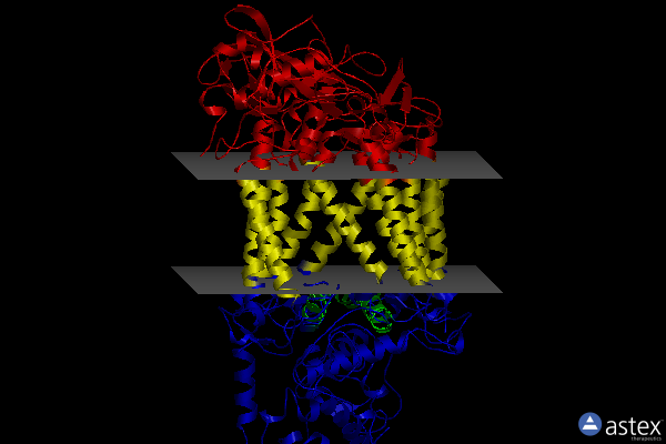 Membrane view of 2jbl