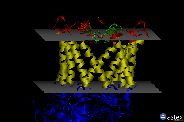 Membrane view of 2jiy
