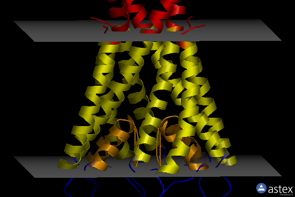 Membrane view of 2jk5