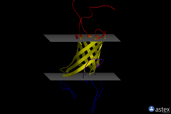 Membrane view of 2k0l