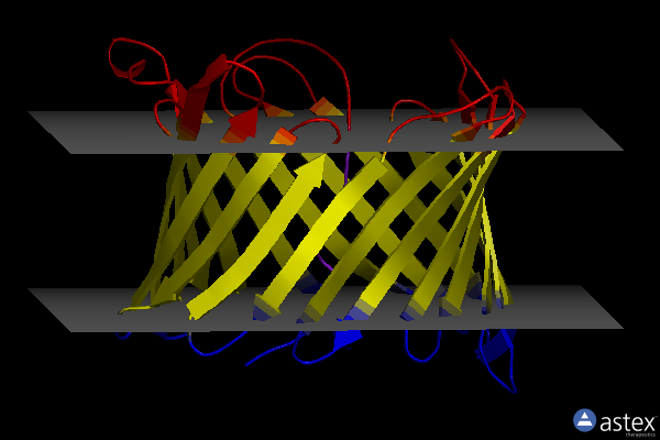 Membrane view of 2k4t