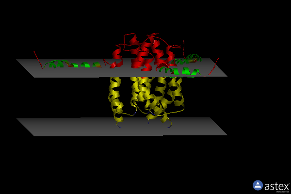 Membrane view of 2kdc