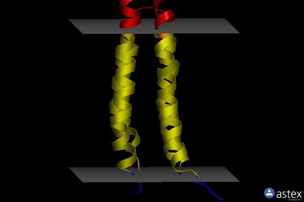 Membrane view of 2ksr
