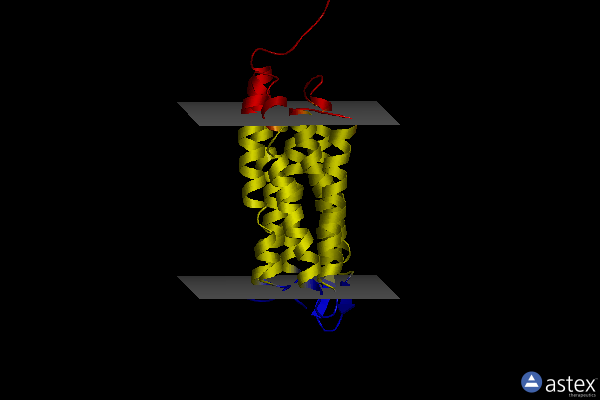 Membrane view of 2ksy