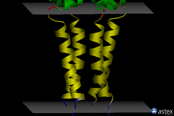 Membrane view of 2kwx