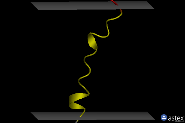 Membrane view of 2l0m