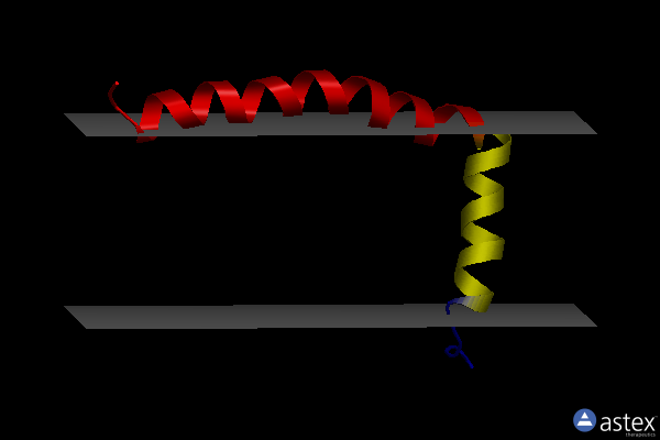 2l16