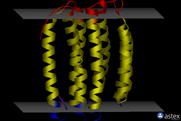 2l6x