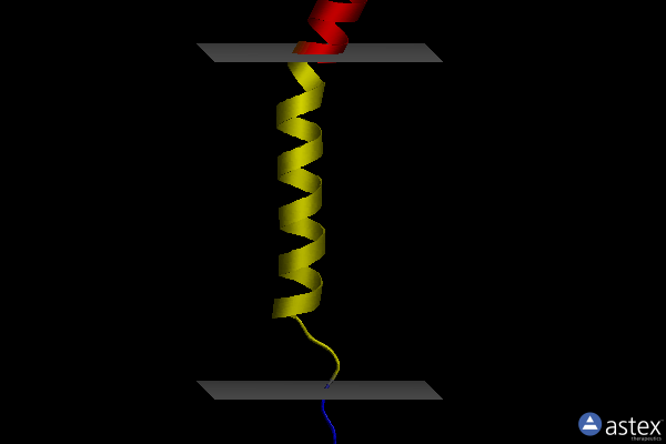 Membrane view of 2l91