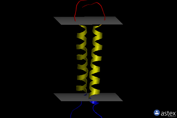 Membrane view of 2lcx