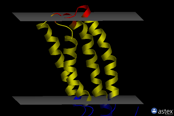 Membrane view of 2lkg