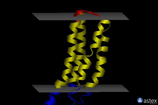 Membrane view of 2lkh
