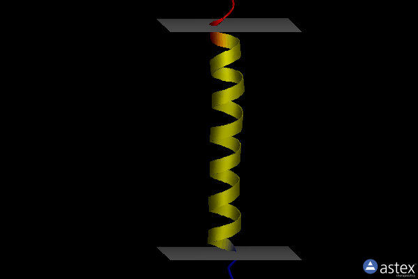 Membrane view of 2llm