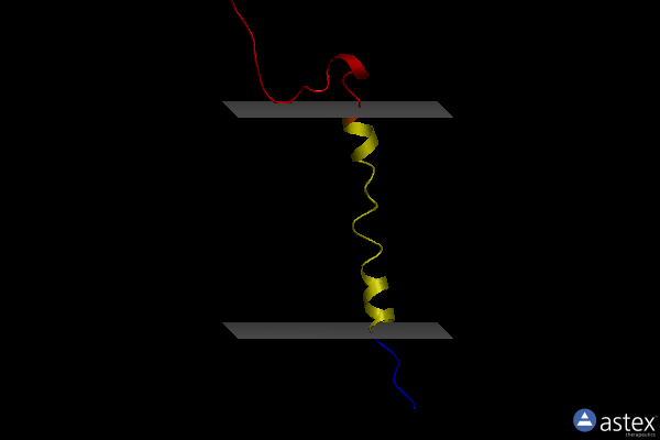 2lot