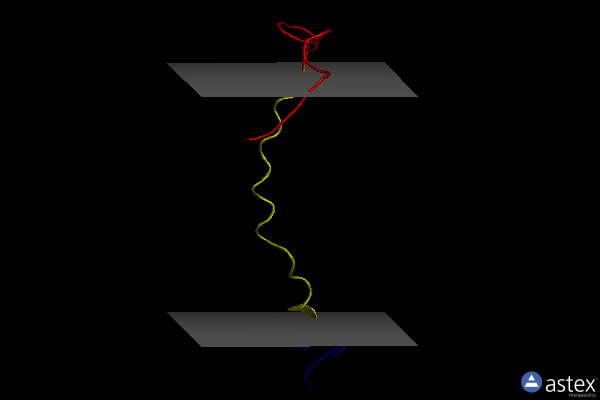 Membrane view of 2lov