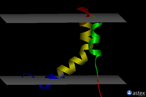 Membrane view of 2lp1