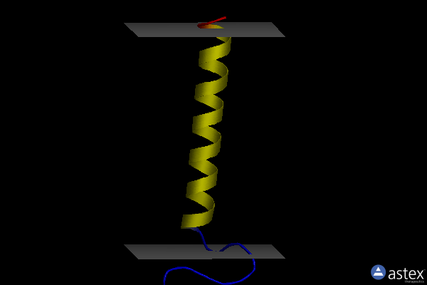 Membrane view of 2lpf