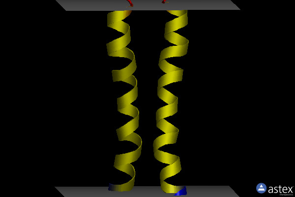 Membrane view of 2lz3