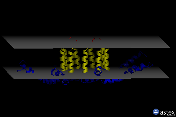 Membrane view of 2lzs