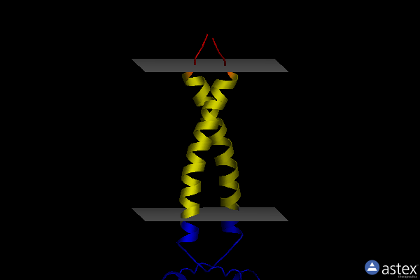 Membrane view of 2m20