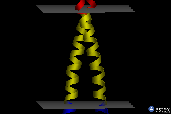 Membrane view of 2m59